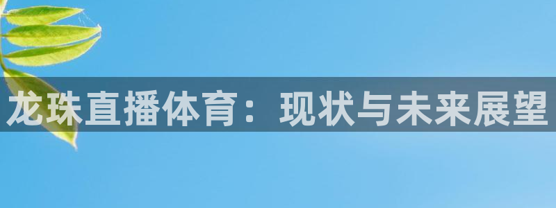 西瓜看球官网入口在哪：龙珠直播体育：现状与未来展望